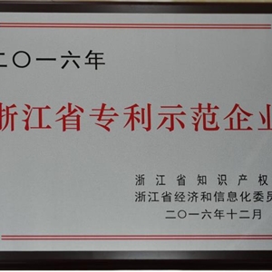 湖州意大利贵宾会 浙江省专利示范企业