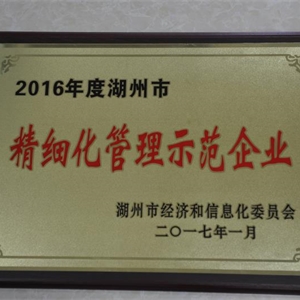 湖州意大利贵宾会 市精细化管理示范企业